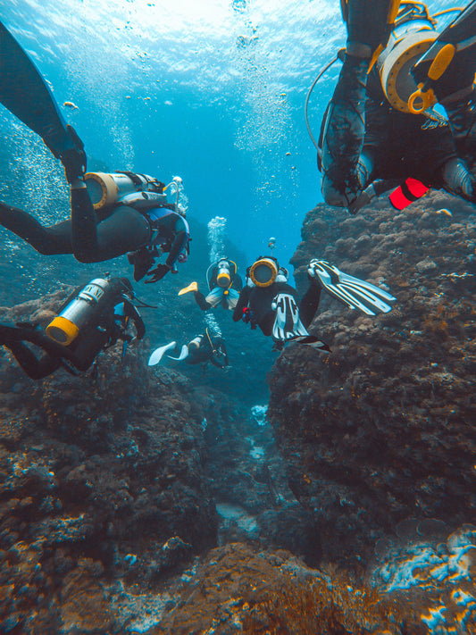 Quiz: What Type of Ocean Explorer Are You?