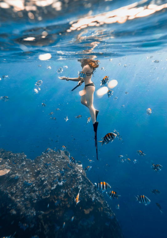 How we’re restoring reefs - one coral at a time
