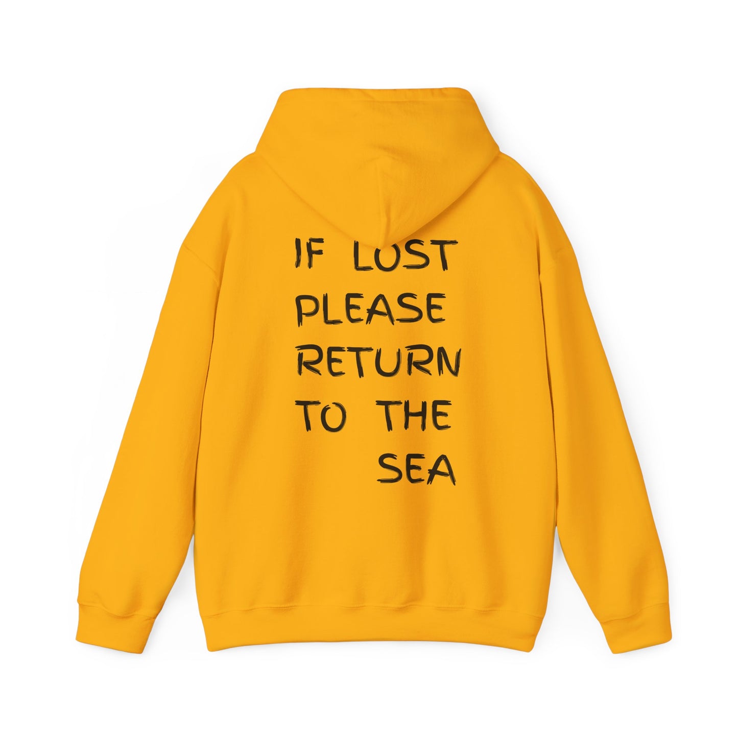 If Lost