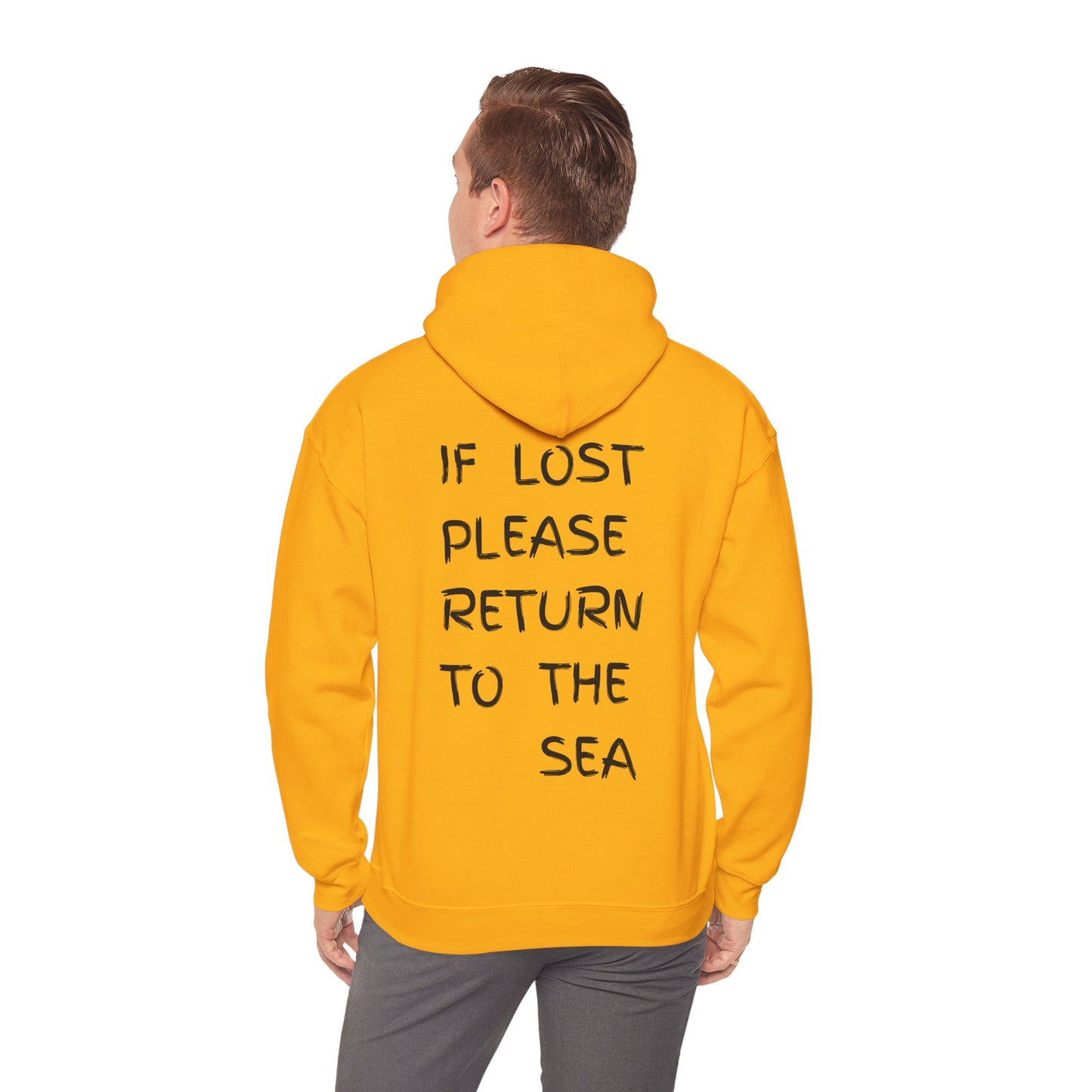 If Lost